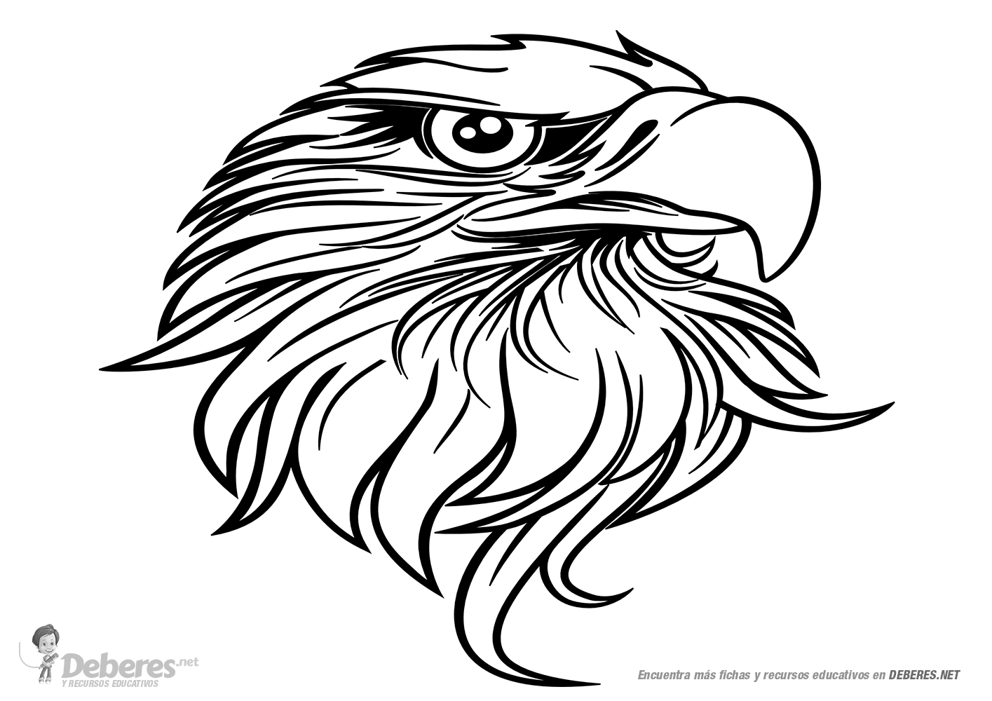 Cabeza de Aguila para colorear