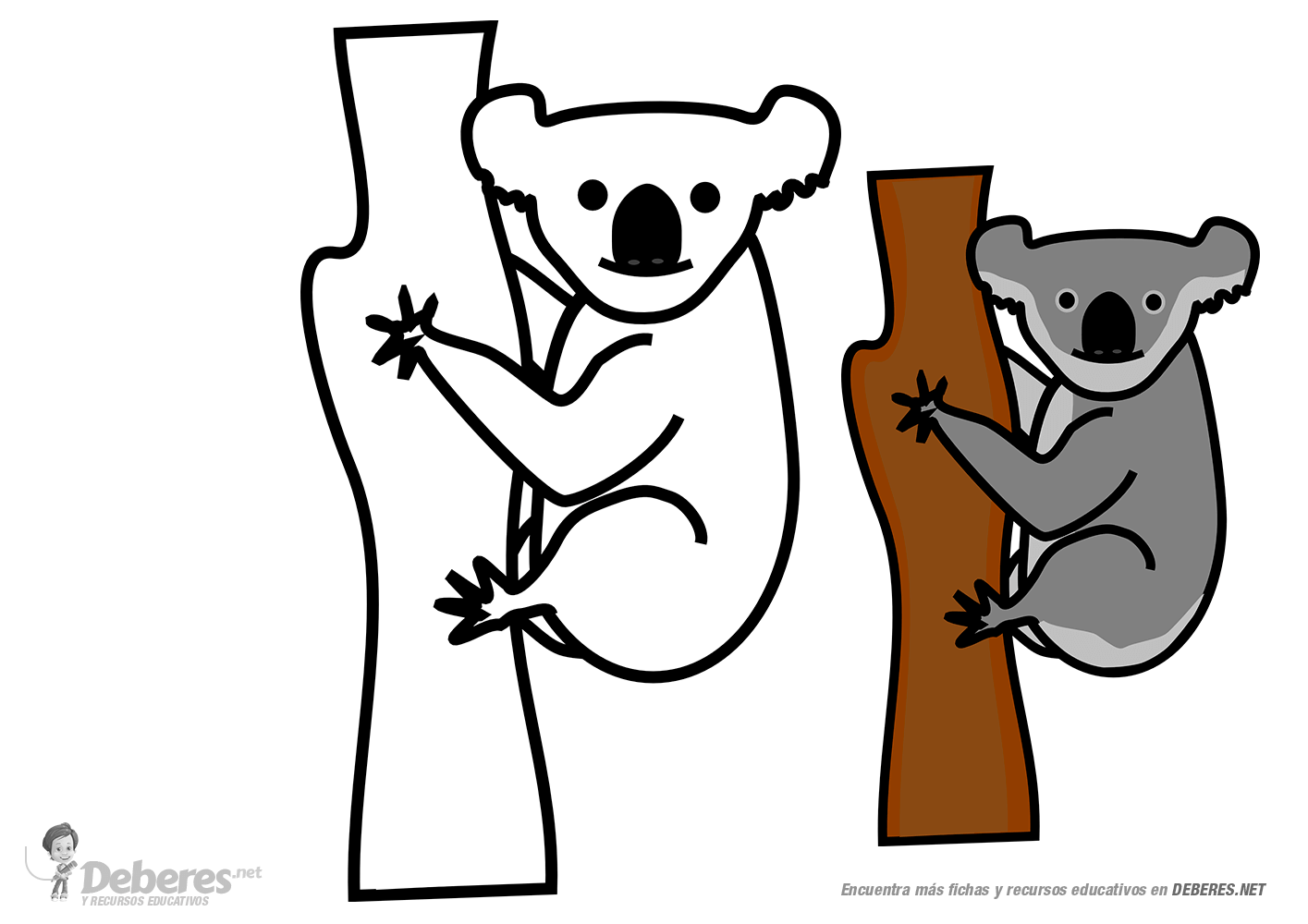 koala para colorear