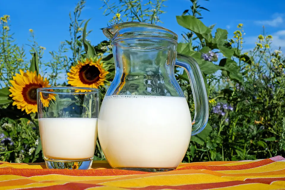 Los componentes de la leche