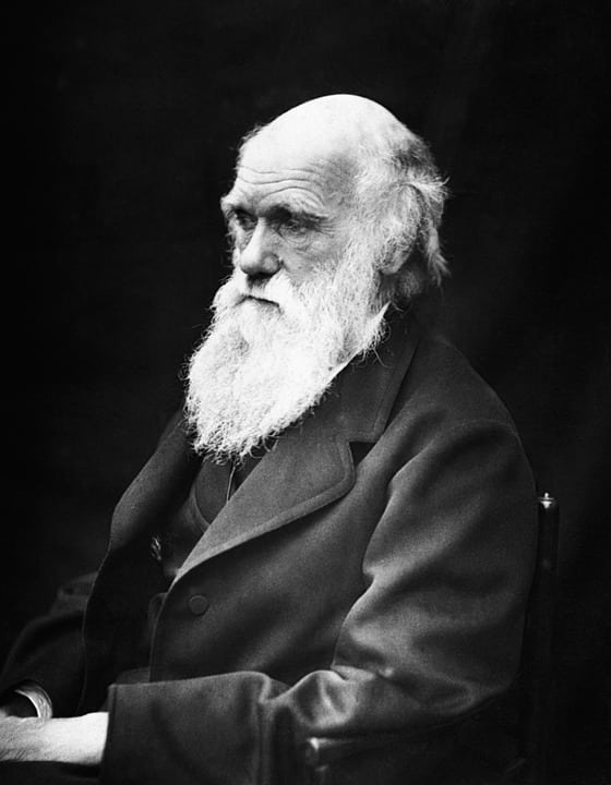 Charles Darwin - La evolucion de las especies