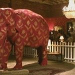 Instalacion Banksy - Elefante tapiz