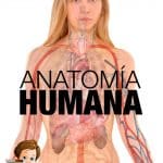 Anatomia humana - Libro gratuito