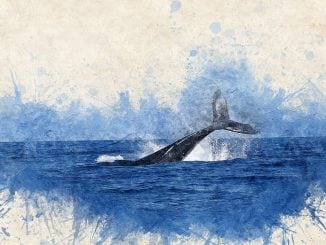 Moby Dick: Resumen y Argumento