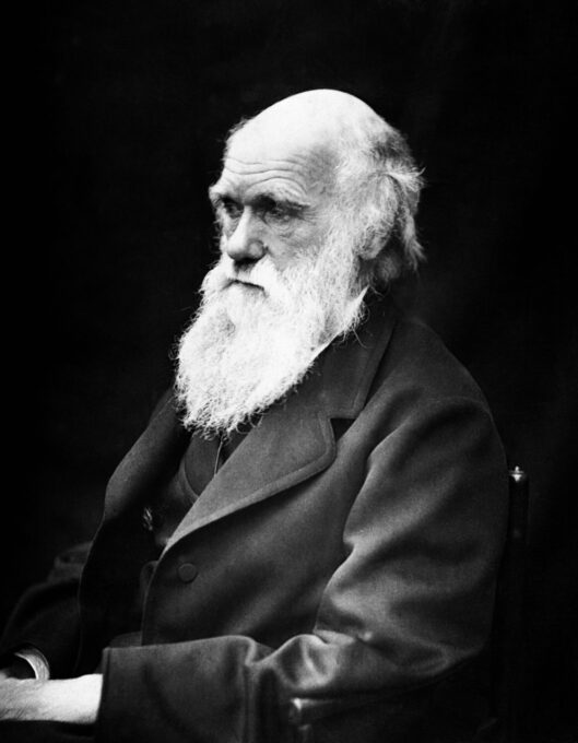 Darwin promulgo su teoría sobre El origen de las especies