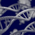 Genetica y ADN